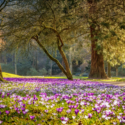 Spring